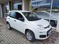 Fiat Panda 0.9 TwinAir Turbo Natural Power Easy Bianco - thumbnail 1