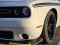 Dodge Challenger Challenger R/T 5.7 HEMI V8 R/T Blanco - thumbnail 6