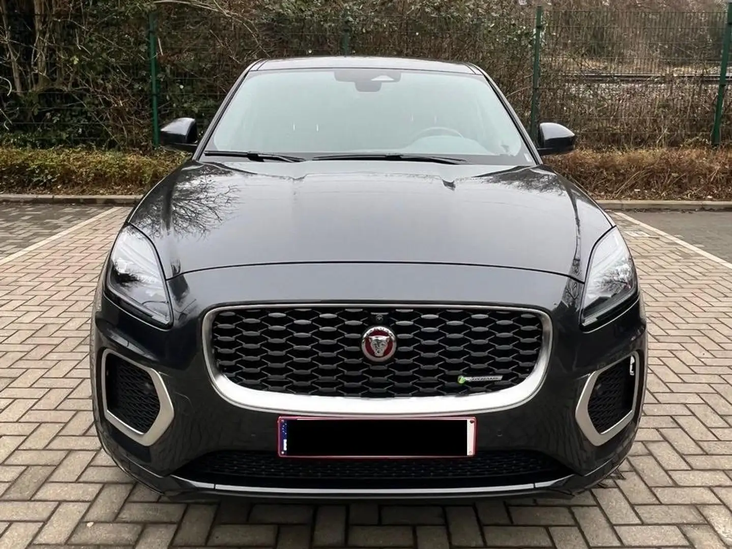 Jaguar E-Pace E-Pace 2.0 T MHEV AWD P200 R-Dynamic SE Серый - 1
