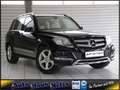 Mercedes-Benz GLK 220 CDI 4Matic AHK Panorama Leder PDC Scheck Negro - thumbnail 32