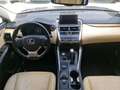 Lexus NX 300 NX Hybrid 4WD Executive Grey - thumbnail 10
