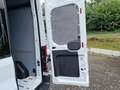 Ford Transit - thumbnail 8