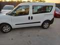 Fiat Doblo Doblo 1.3 mjt 16v Easy 95cv Weiß - thumbnail 5