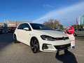 Volkswagen Golf GTI 3p 2.0 TSI GTI PERFORMANCE 7.5 245cv C. MANUALE Blanco - thumbnail 2