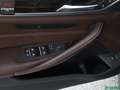 BMW M550 M550 i xDrive SHADOW 360GRAD,SITZKLIMA,1.HAND,SH Gris - thumbnail 13