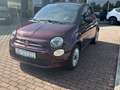 Fiat 500 Lounge 1.2 PDC/CAPLAY /WENIG KM Paars - thumbnail 3
