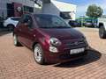Fiat 500 Lounge 1.2 PDC/CAPLAY /WENIG KM Paars - thumbnail 1
