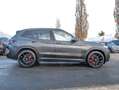 BMW X3 xDrive30i M Sport HUD PANO ACC AHK RFK NAVI Grau - thumbnail 3