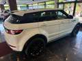Land Rover Range Rover Evoque Dynamic PANORAMA/LED/125TKM!! Blanc - thumbnail 4