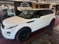 Land Rover Range Rover Evoque Dynamic PANORAMA/LED/125TKM!! Blanc - thumbnail 1