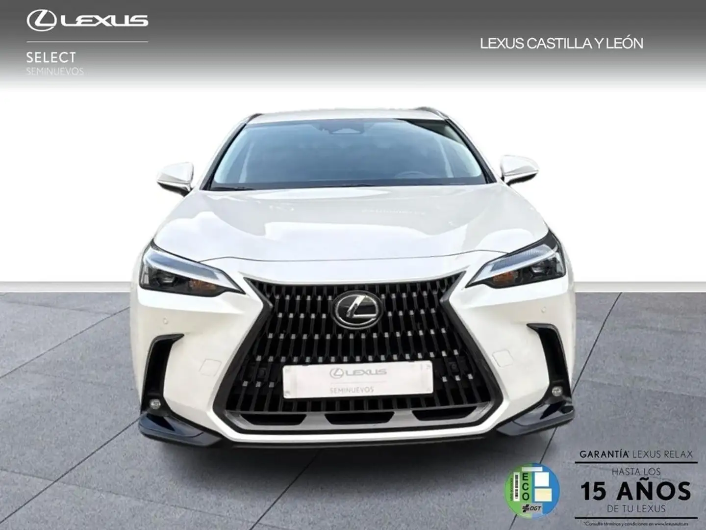 Lexus NX 450h+ 4WD PREMIUM+ Blanc - 2