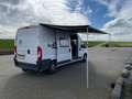Fiat Ducato Camper 4 persoons Wit - thumbnail 2