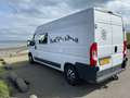 Fiat Ducato Camper 4 persoons Wit - thumbnail 3