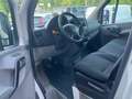 Mercedes-Benz Sprinter F37/33 311 CDI PREZZO+IVA Bianco - thumbnail 6
