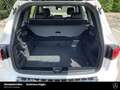 Mercedes-Benz GLB 180 GLB 180 d AMG 19" LED MBUX Fernlicht-Assi AMG Line Weiß - thumbnail 22