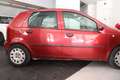 Fiat Punto Punto II 5p 1.2 16v ELX UNICO PROPRIETARIO Rosso - thumbnail 5