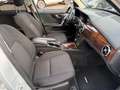 Mercedes-Benz GLK 250 CDI BlueTec 4Matic Panorama AHK Ezüst - thumbnail 8
