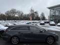 Kia Ceed SW / cee'd SW cee´d Sportswagon PLATEIDITION/KAMERA/MEMORY/JBL Grau - thumbnail 7