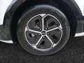 Kia Niro 1.6 GDI PHEV DRIVE 5P Blanco - thumbnail 10