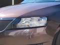 Skoda Rapid/Spaceback 1.6 TDI Drive Spaceback Brun - thumbnail 6