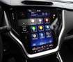 Subaru OUTBACK 2.5i Platinum*1.HD*AHK* Silber - thumbnail 14