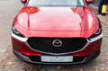 Mazda CX-30 2.0 E-SkyActiv-G Rood - thumbnail 14