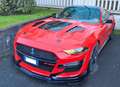 Ford Mustang Mustang Fastback 5.0 ti-vct V8 GT 450cv auto my19 Rosso - thumbnail 1