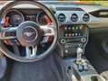Ford Mustang Mustang Fastback 5.0 ti-vct V8 GT 450cv auto my19 Rosso - thumbnail 4