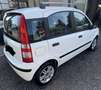 Fiat Panda 1.2 Dynamic - thumbnail 4