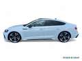 Audi RS5 Sportback Competition Vmax290/Matrix/Pano/SportAGA Wit - thumbnail 3