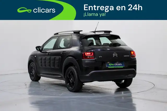 Citroen C4 Cactus view 9