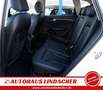 Audi Q5 2.0 TDI quattro I Pano I Leder I Xenon Wit - thumbnail 12