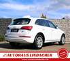 Audi Q5 2.0 TDI quattro I Pano I Leder I Xenon Wit - thumbnail 7