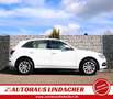 Audi Q5 2.0 TDI quattro I Pano I Leder I Xenon Wit - thumbnail 5