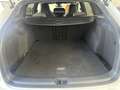 Volkswagen Golf Variant Golf VIII Variant 2.0 TDI DSG R-Line Navi FrontA Weiß - thumbnail 7