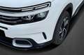 Citroen C5 Aircross PureTech 130 Business Shine Automatik Weiß - thumbnail 8