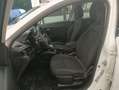 Fiat Tipo Tipo 1.6 Mjt S&S 5 porte Business Blanc - thumbnail 12