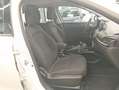 Fiat Tipo Tipo 1.6 Mjt S&S 5 porte Business Blanc - thumbnail 13