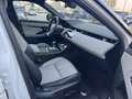 Land Rover Range Rover Evoque 2.0d i4 mhev R-Dynamic S awd 180cv auto Blanco - thumbnail 10