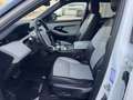 Land Rover Range Rover Evoque 2.0d i4 mhev R-Dynamic S awd 180cv auto Blanco - thumbnail 8