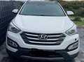 Hyundai SANTA FE Santa Fe 2.2 CRDI 4WD Premium Weiß - thumbnail 1