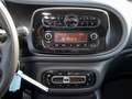 smart forFour EQ forfour Cool&Audio+22KW-Lader+2xKabel+dkl.Gl. Schwarz - thumbnail 9