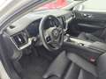 Volvo V60 Cross Country D4 Pro AWD Aut. Blanco - thumbnail 12
