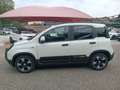 Fiat Panda 1.0 FireFly S&S Hybrid Pandina Wit - thumbnail 4