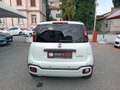 Fiat Panda 1.0 FireFly S&S Hybrid Pandina Wit - thumbnail 6