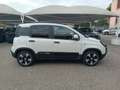 Fiat Panda 1.0 FireFly S&S Hybrid Pandina Wit - thumbnail 8