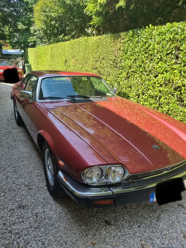 Jaguar XJS V12 - RHD, foto 1