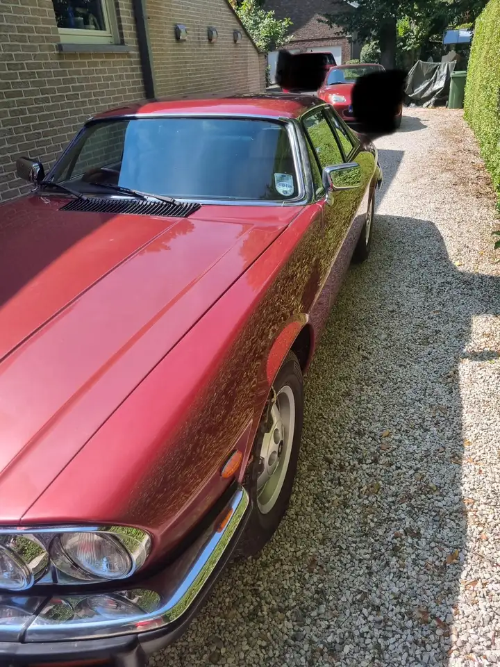 Jaguar XJS V12 - RHD, foto 2