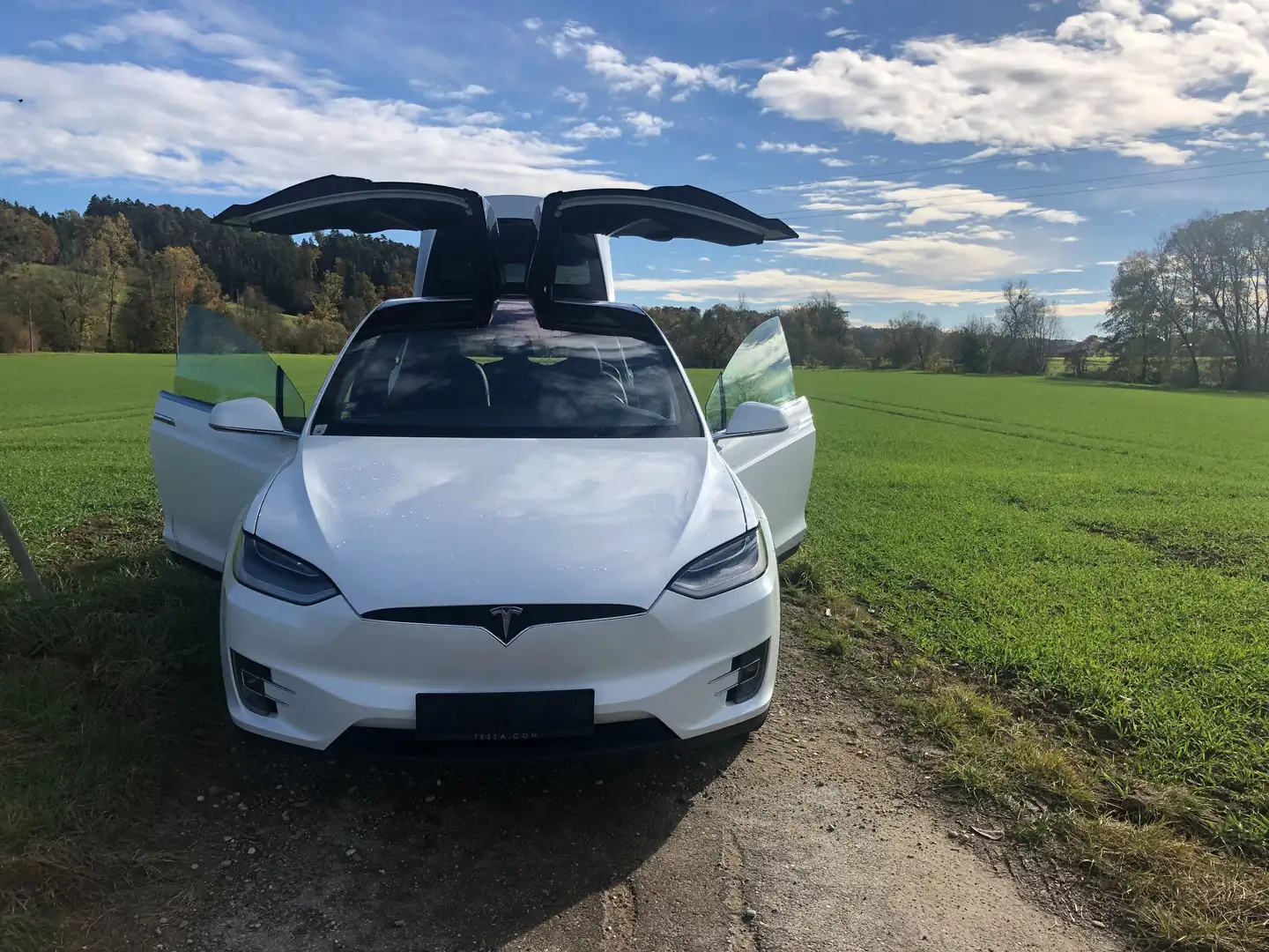 Tesla Model X 100 long rang Weiß - 2