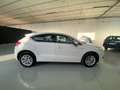 Citroen DS4 DS4 1.6 e-hdi airdream Business 110cv Bianco - thumbnail 5